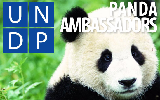 UNDP Panda Ambassadors