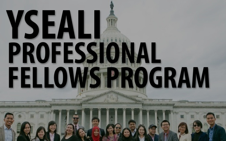 YSEALI Professional Fellows Program 